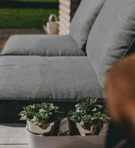 Feriehus Mit Basketballplatz